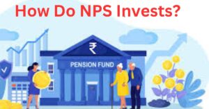 NPS investment options