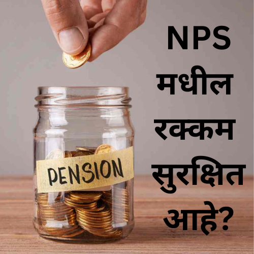 NPS investment options